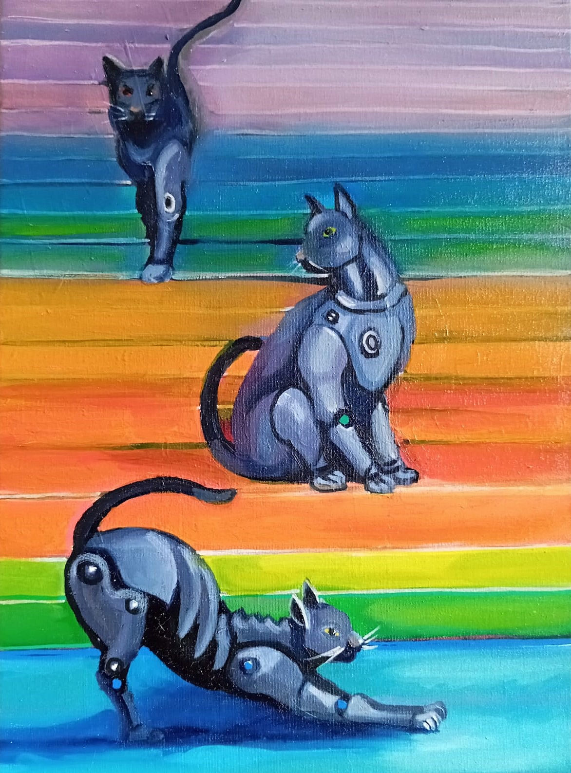 İstanbul'un Kedileri - Necmiye Yıldız Özşengül