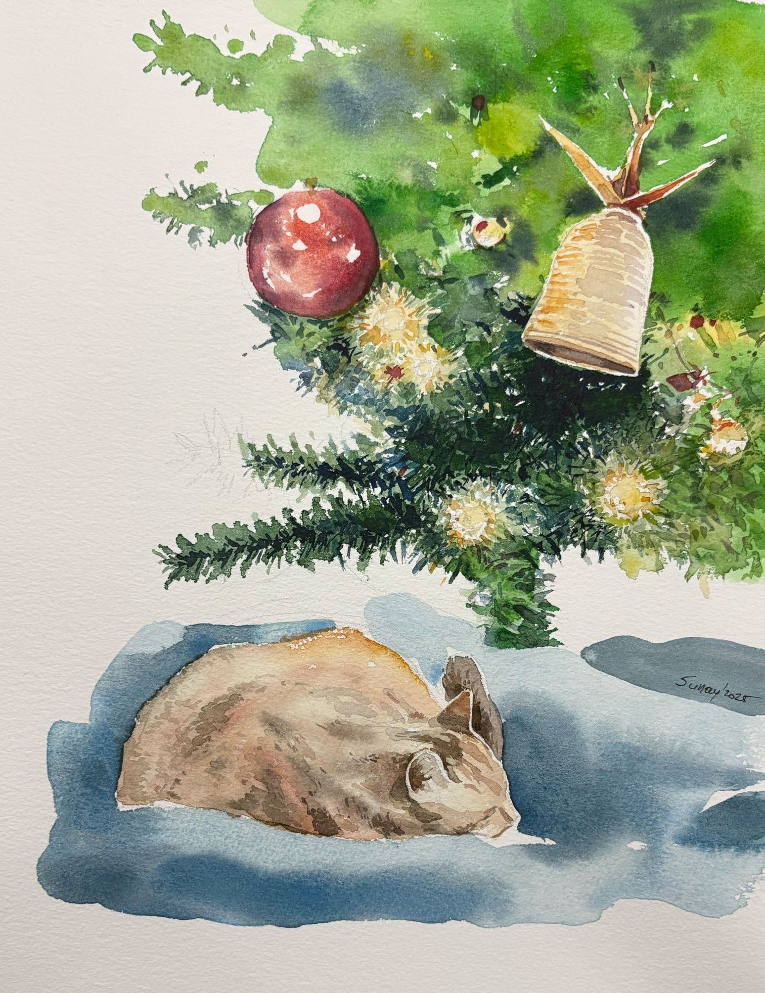 İstanbul'un Kedileri - Sunay Şentürk - Suluboya Tablo