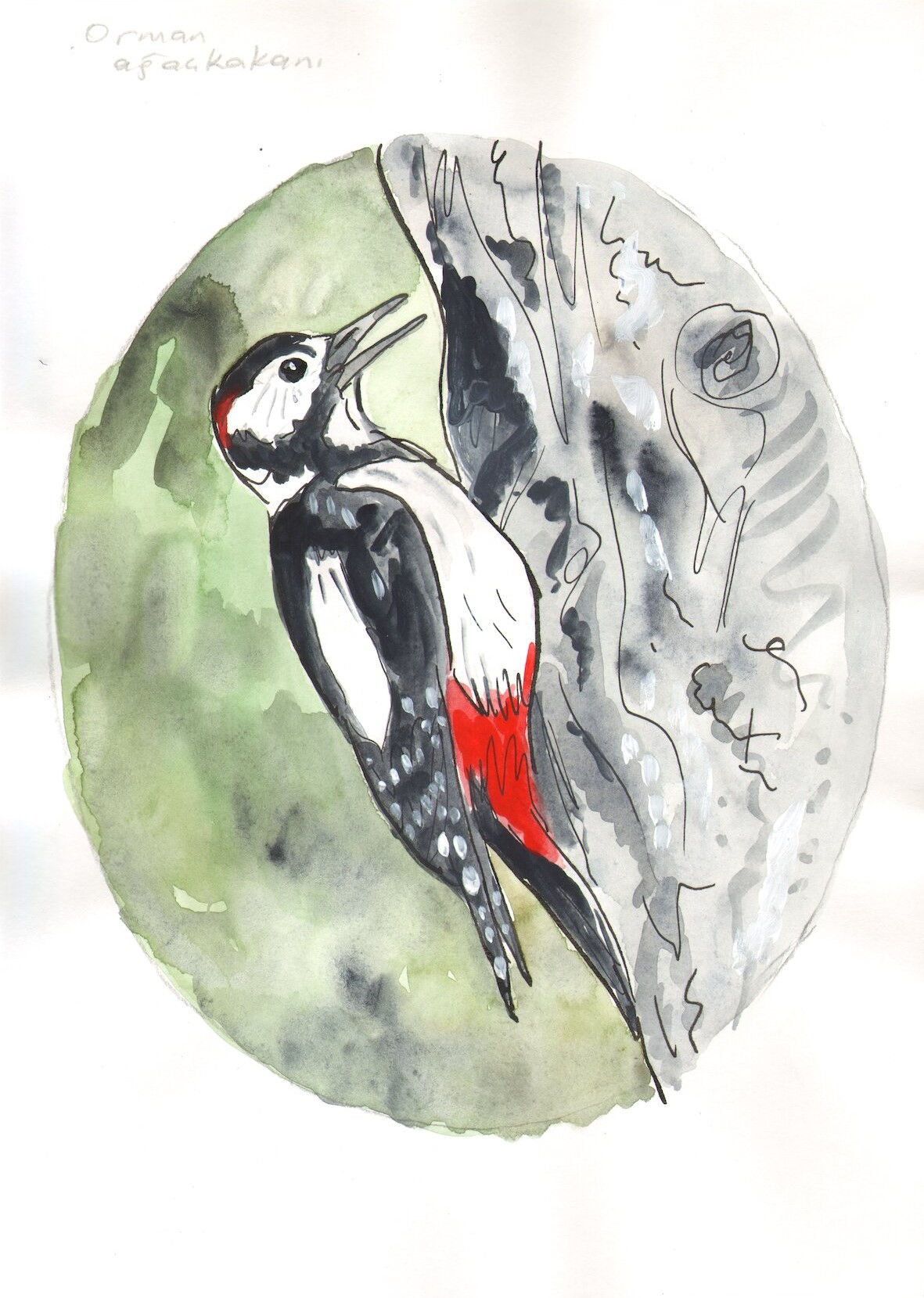 Edebiyatta Kuşlar - Ocak - Tuncer Erdem