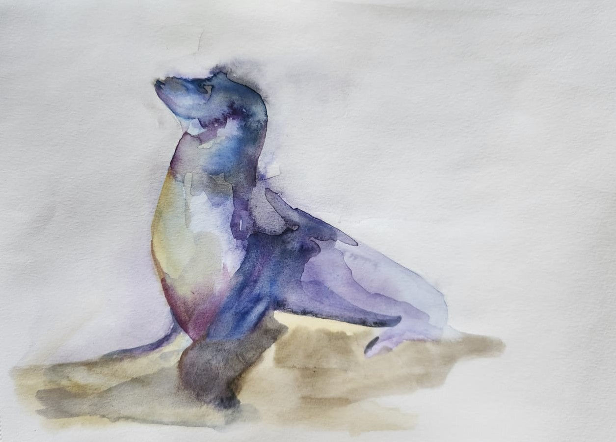 Deniz Aslanı - Suluboya Resim - Özgün ve İmzalı