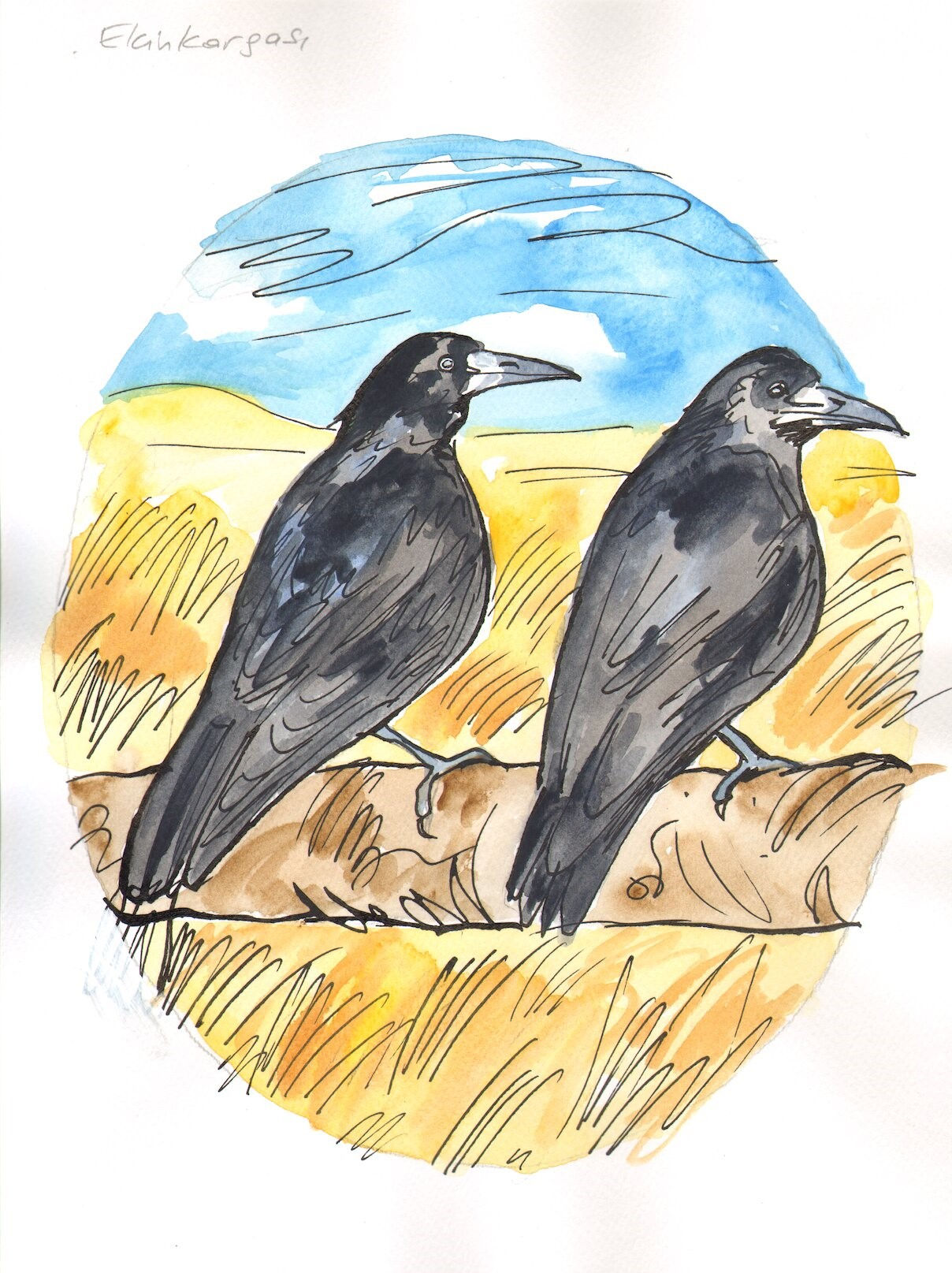 Edebiyatta Kuşlar - Mart - Tuncer Erdem