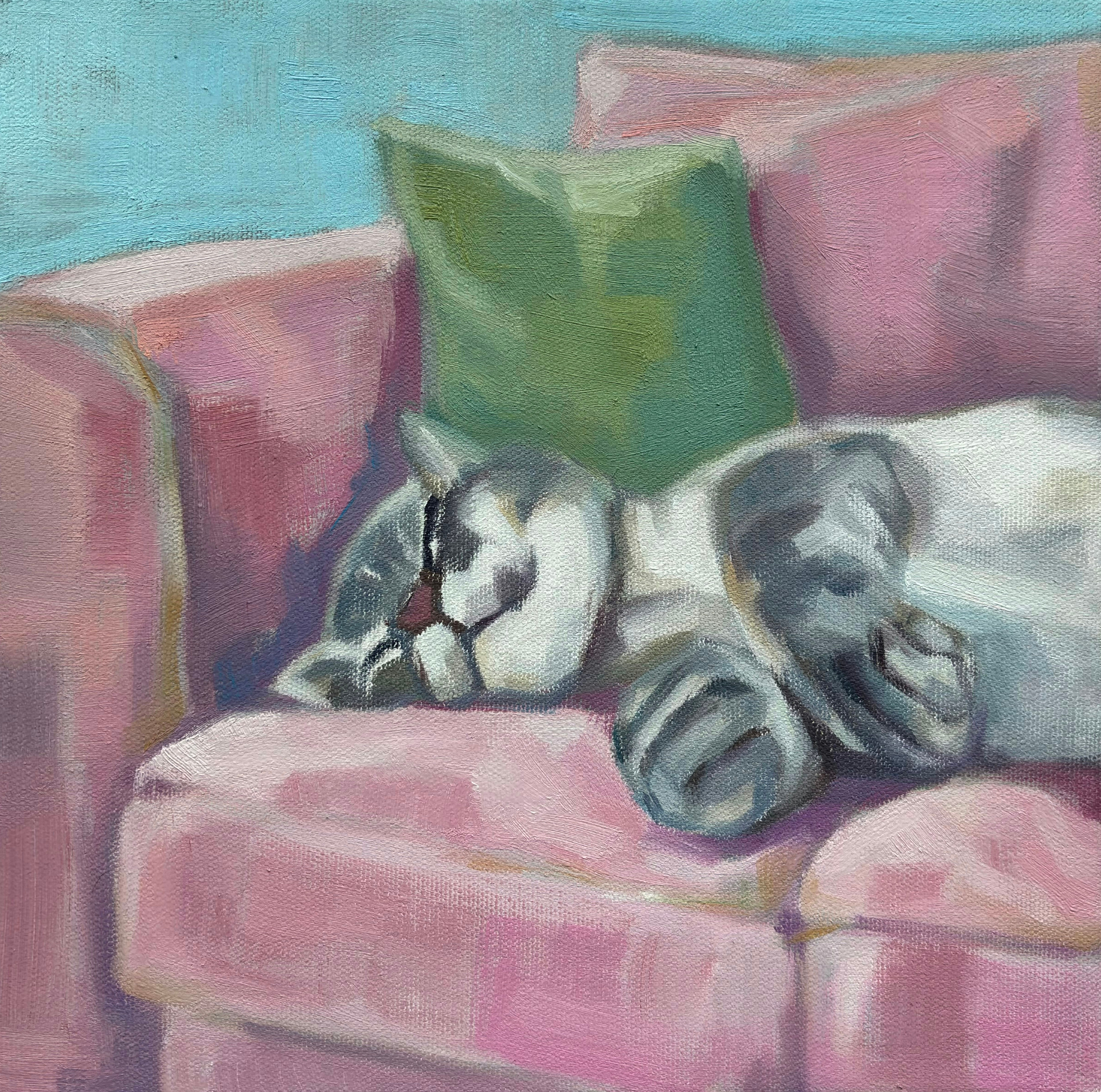 Rıfkı - İstanbul'un Kedileri -  Şule Onur