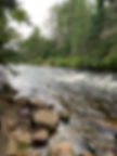 Algonquin