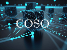 Strengthening Internal Control and Compliance with the COSO Framework