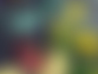 Day 8 - Mini Release Program by Silver RavenWolf