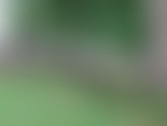 Granny Camp! Super Success!