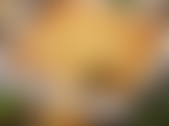 Day 26 - Great Release Program by Silver RavenWolf