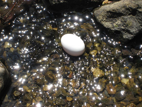 Goin’ a Healin’ — April 25th