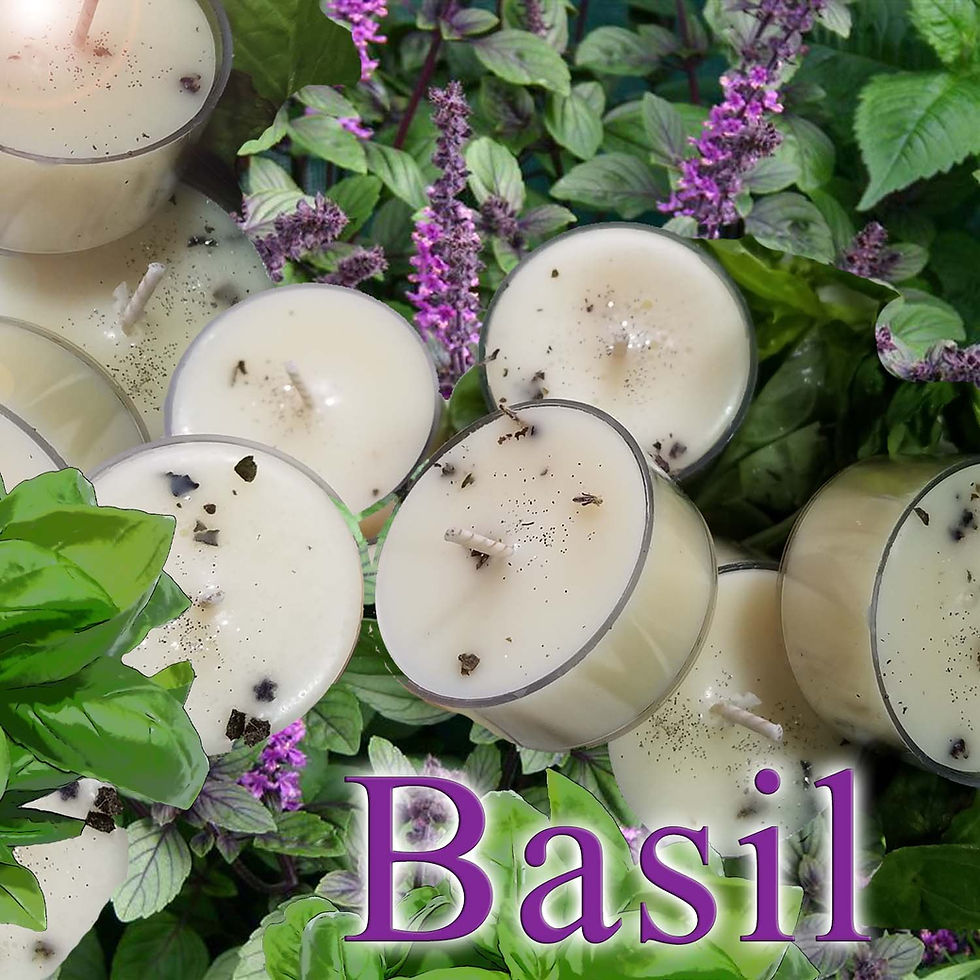 africanbasilcandlesad