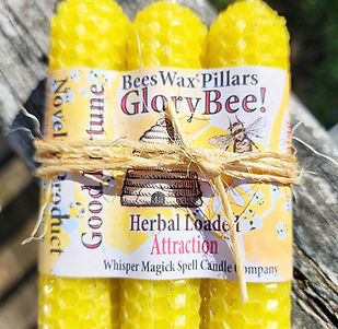 glorybeetaper2pic