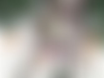 Day 4 – Great Release Program 2018 – Tuesday – Silver RavenWolf