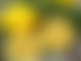 Day 24 - Great Release Program