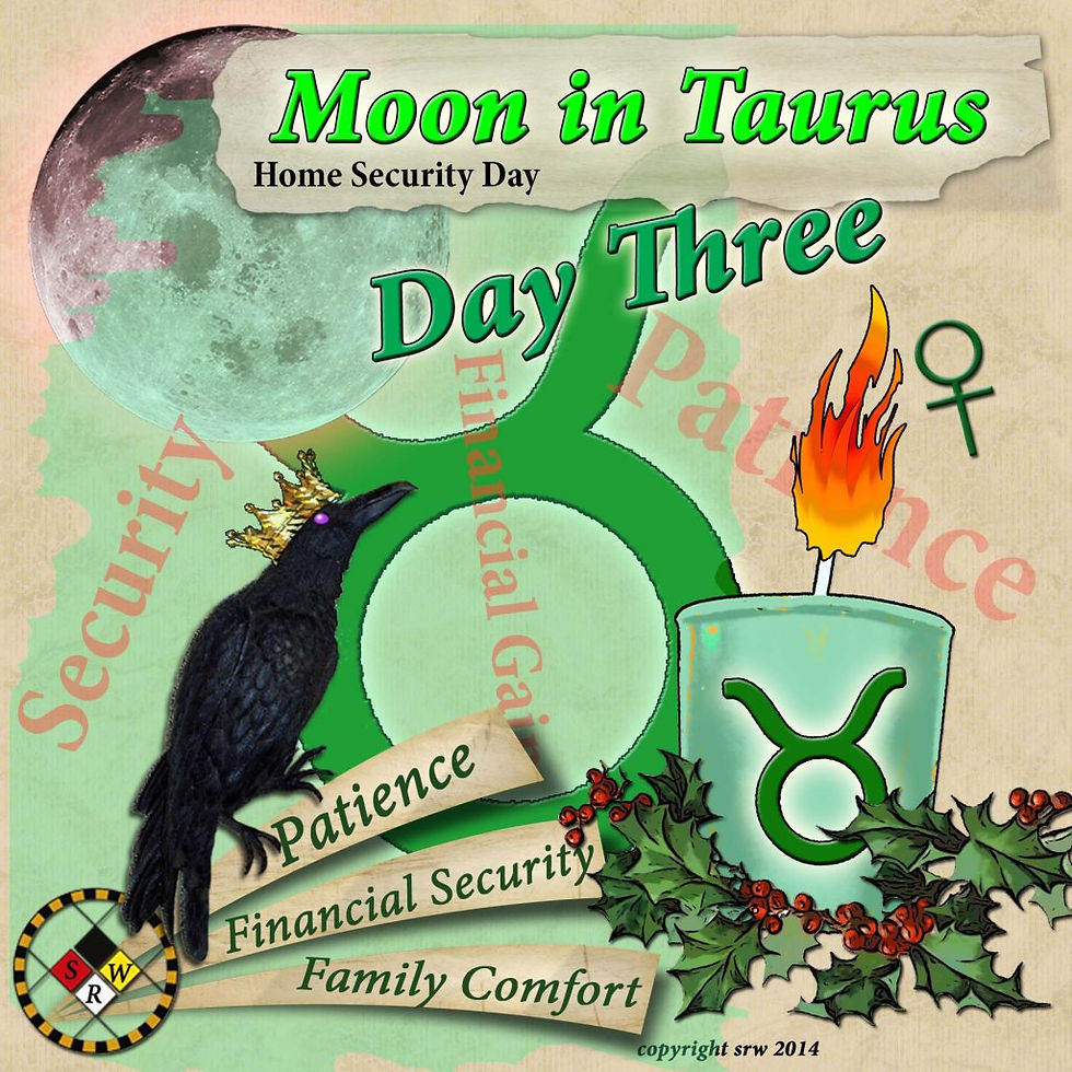 Surround a Home Security candle with Holly or Ivy for a simple magickal boost.