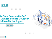 Ignite Your Career with SAP HANA Database Online Course at Infibee Technologies