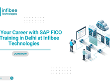 Boost Your Career with SAP FICO ECC Training in Delhi at Infibee Technologies