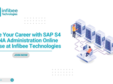Ignite Your Career with SAP S4 HANA Administration Online Course at Infibee Technologies