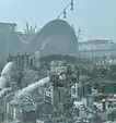 IMG_0061.jpeg