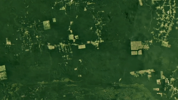 expansión urbana.gif.webp