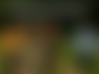 Integration Through Movement: Embodying the Lessons