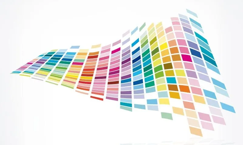 paleta de color.webp