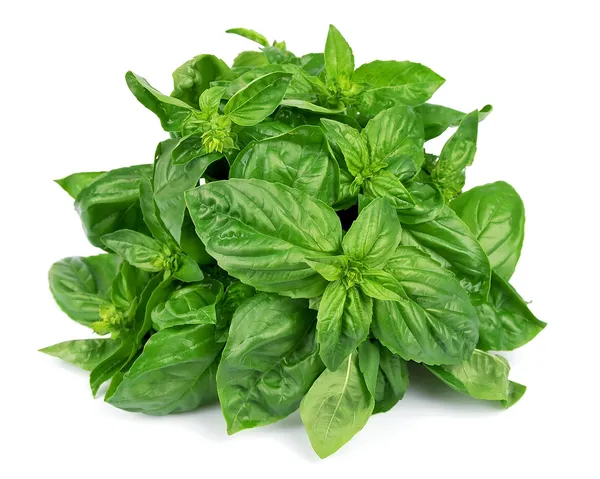 fresh-basil-leaves.webp