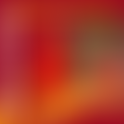 Michele Peracchi è un nuovo giocatore del Basket Roma!