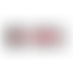 Tra lo Zanatta e il Malaguti: un recap dei tornei natalizi del Basket Roma