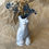 Miniature : Femina