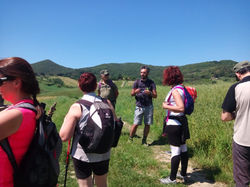 WhatsApp Image 2018-05-20 at 17.45.11