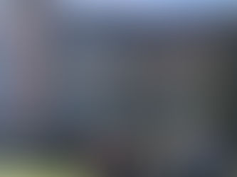 Sammezzano e la sua foresta