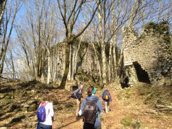 WhatsApp Image 2019-03-03 at 22.17