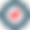 IconaCaneAmmesso.png