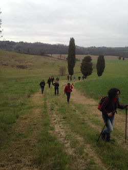 WhatsApp Image 2019-03-10 at 18.46.13