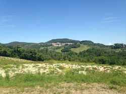 WhatsApp Image 2018-05-20 at 17.57.40