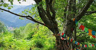 Orsigna: un rifugio dal mondo