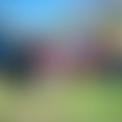 Sentieri di Libertà 