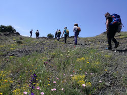 WhatsApp Image 2018-05-13 at 19.16.33