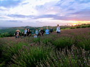 img_20210713_204314.jpg
