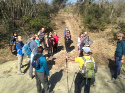 WhatsApp Image 2019-03-03 at 22.17.27