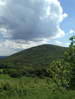 WhatsApp Image 2018-05-20 at 17.55.19