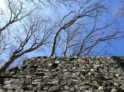 WhatsApp Image 2019-03-03 at 21.01.02