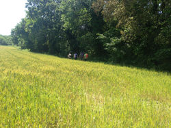 WhatsApp Image 2018-05-20 at 17.56.34