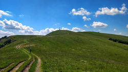 2019-06-23 15.50.21-01