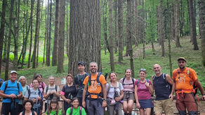 Un trekking alla scoperta dei "Giganti d'Italia"