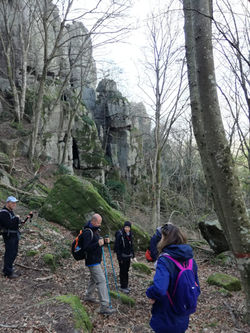 WhatsApp Image 2019-03-03 at 21.01.00