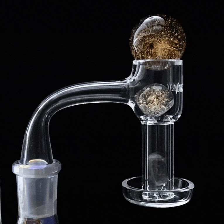 Thumbnail: Clover Terp Slurper Banger Kit