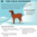 Cold Pet
