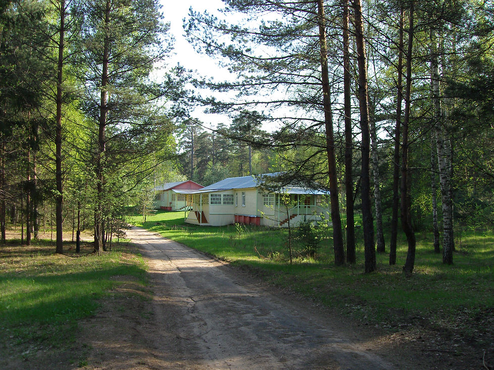 SDC11730