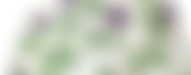 鉄線(てっせん)<着物紋様>