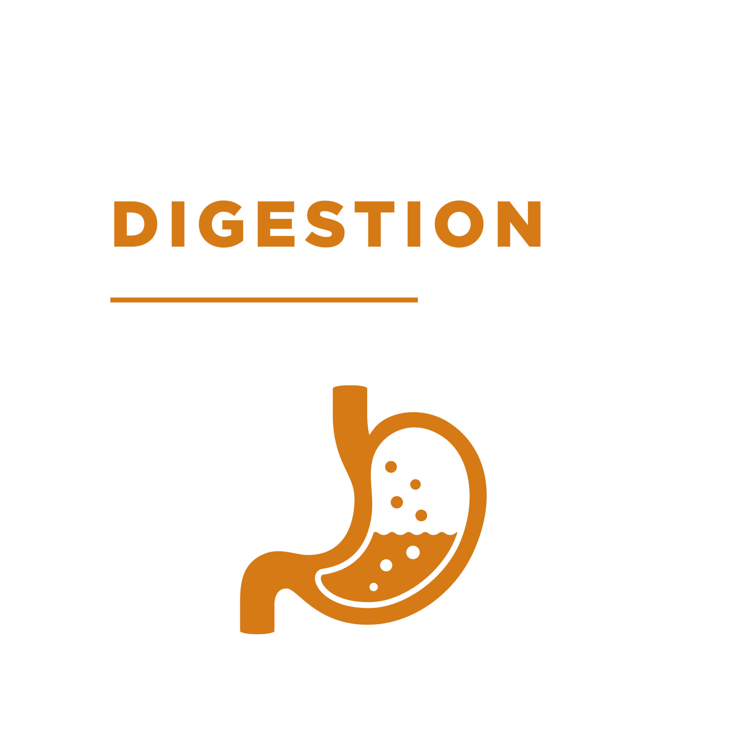 Digestion Dogcare